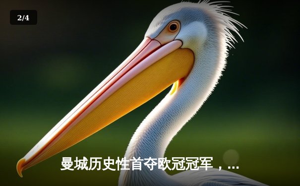 曼城历史性首夺欧冠冠军，1-0力克国际米兰登顶欧洲之巅 - 2