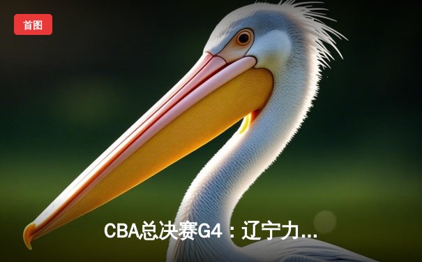 CBA总决赛G4：辽宁力克新疆夺得队史第四冠，赵继伟荣膺FMVP